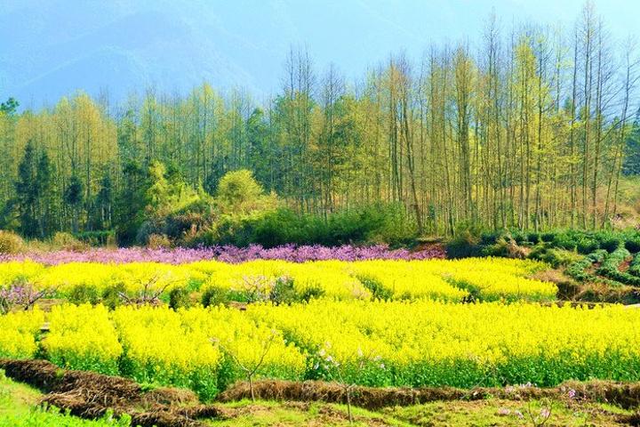 春季养生有六个&ldquo;不&rdquo;